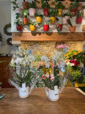 Orchidee met pot
